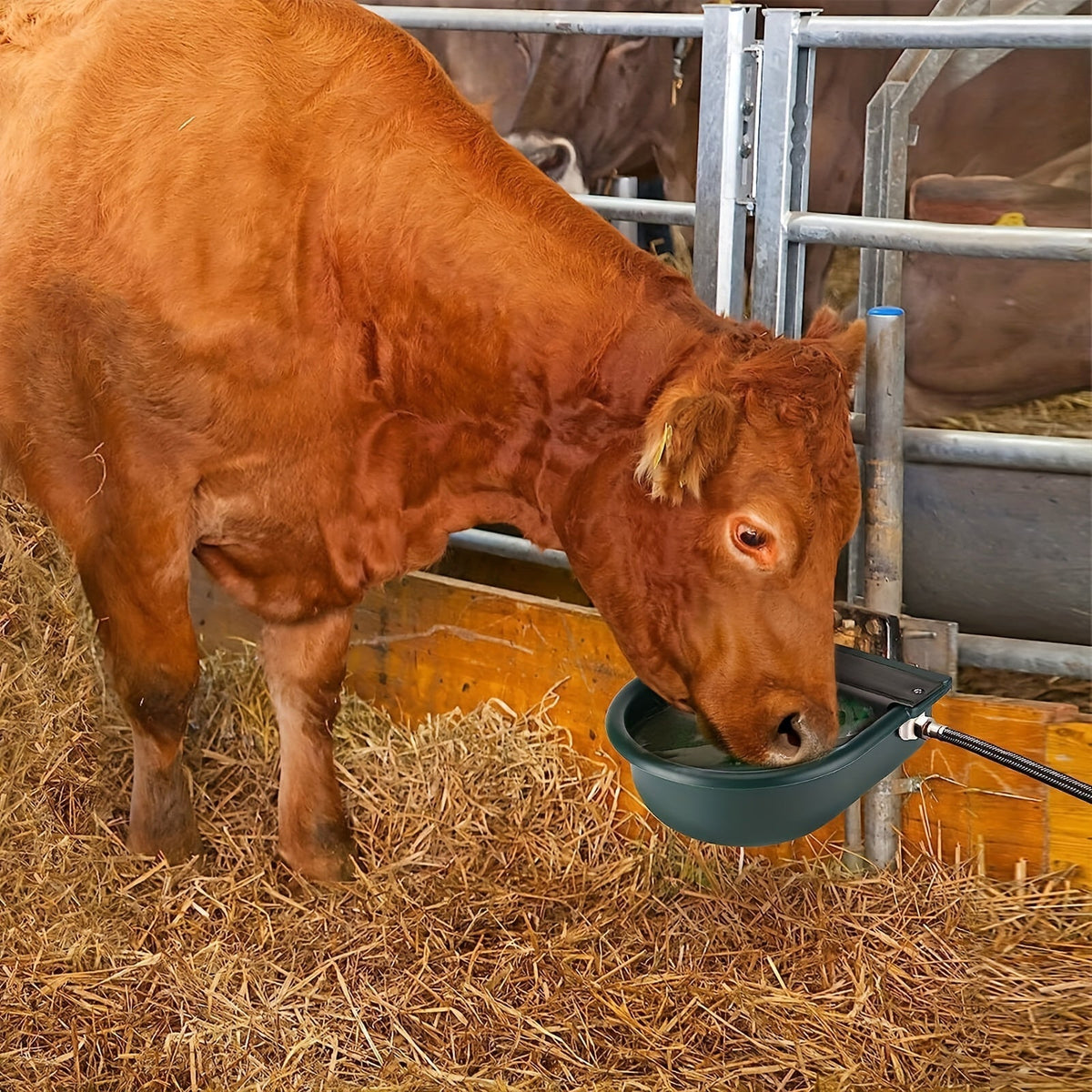 Automatic Water Trough Bowl For Livestock-4
