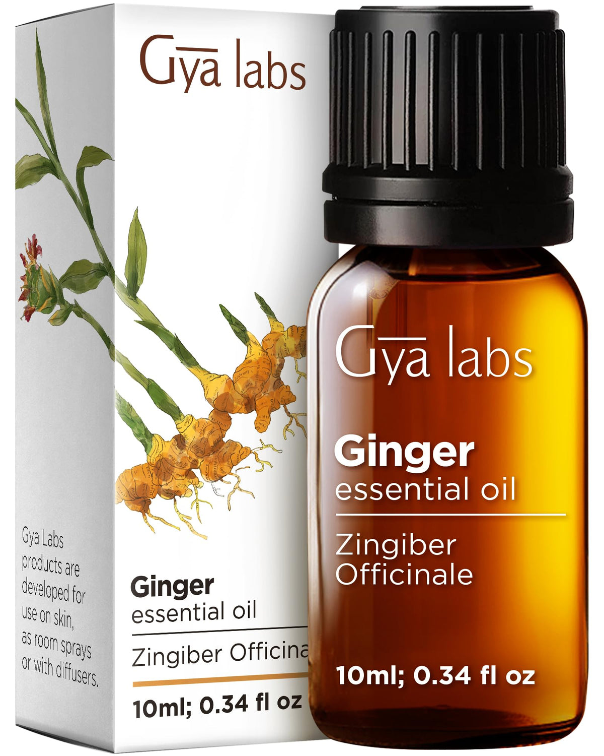100% Pure Clove Essential Oil for Skin & Diffuser - 4 Fl Oz Jansha Store