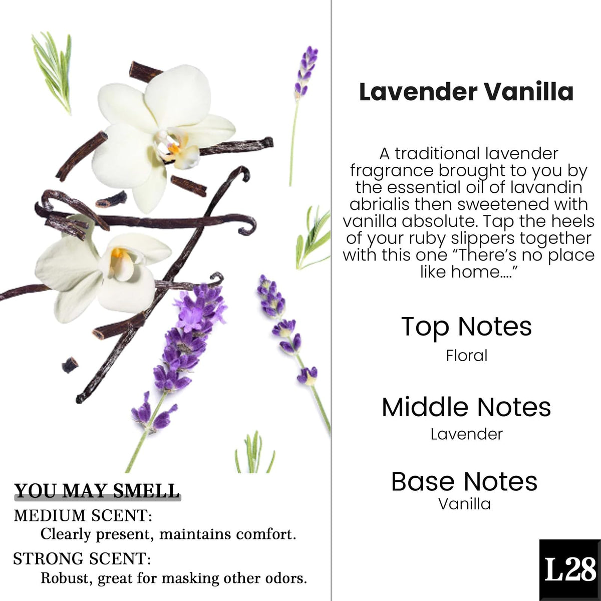 HoogaLife Car Air Freshener Diffuser 2 Pack Hanging Air Freshener Diffuser - Vanilla Cream Fragrance Oil Air D iffuser for Car, 45+ days Long Lasting Fragrance Made in USA C ar Air Fresheners (V54) Jansha Store