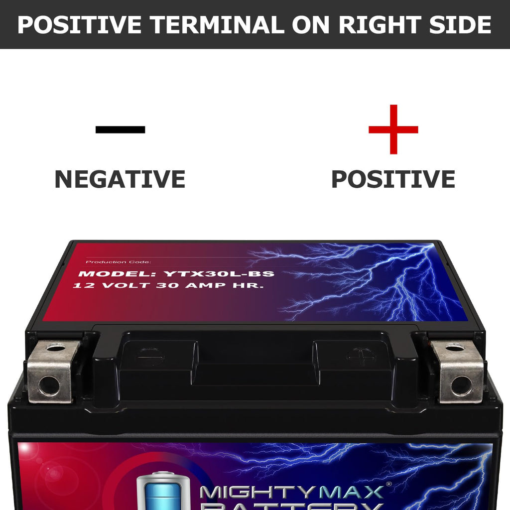Mighty Max Battery YTX14-BS - 12 Volt 12 AH, 200 CCA, Rechargeable Maintenance Free SLA AGM Motorcycle Battery Jansha Store