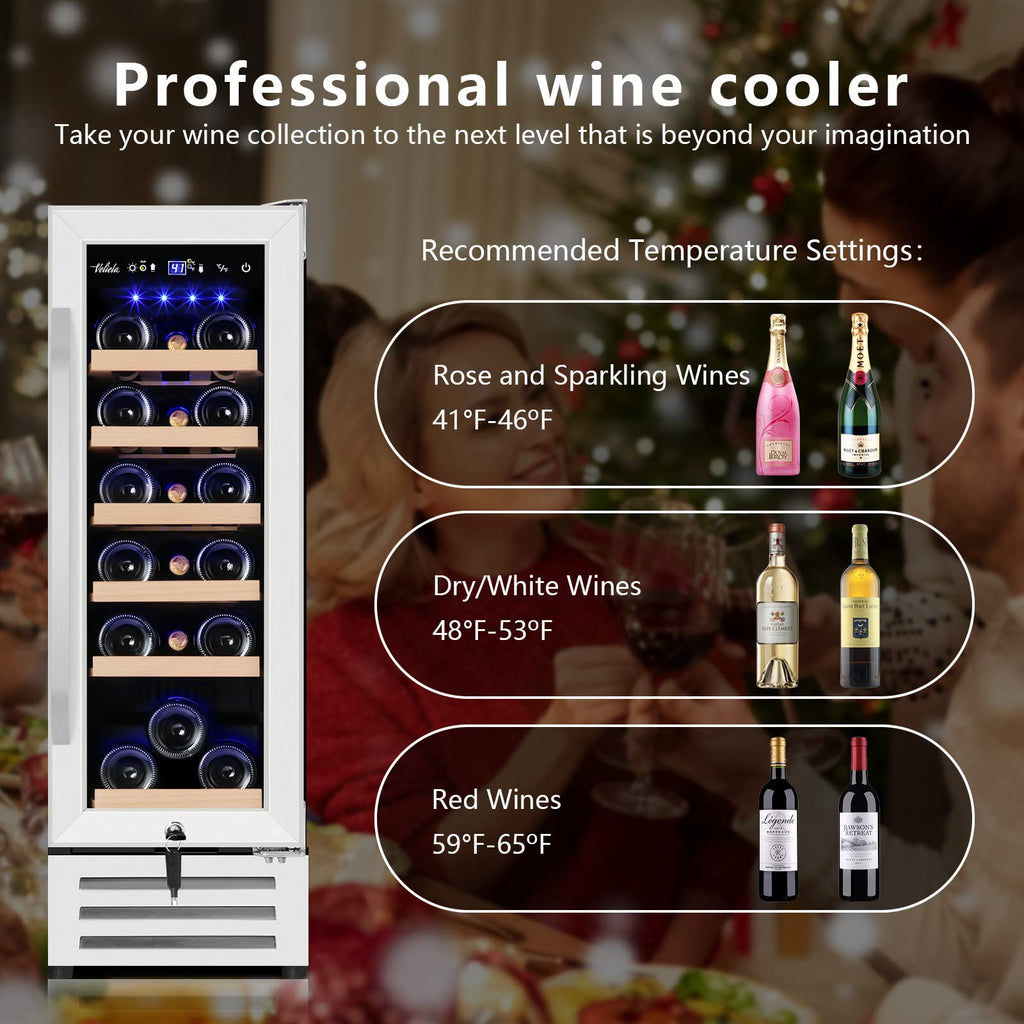 24 Inch Upgraded Dual Zone Wine and Beverage Refrigerator Cooler Jansha Store