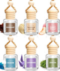AROIC 6Pack Car Air Freshener, Hanging Essential Oil Air Freshener Diffuser Jansha Store