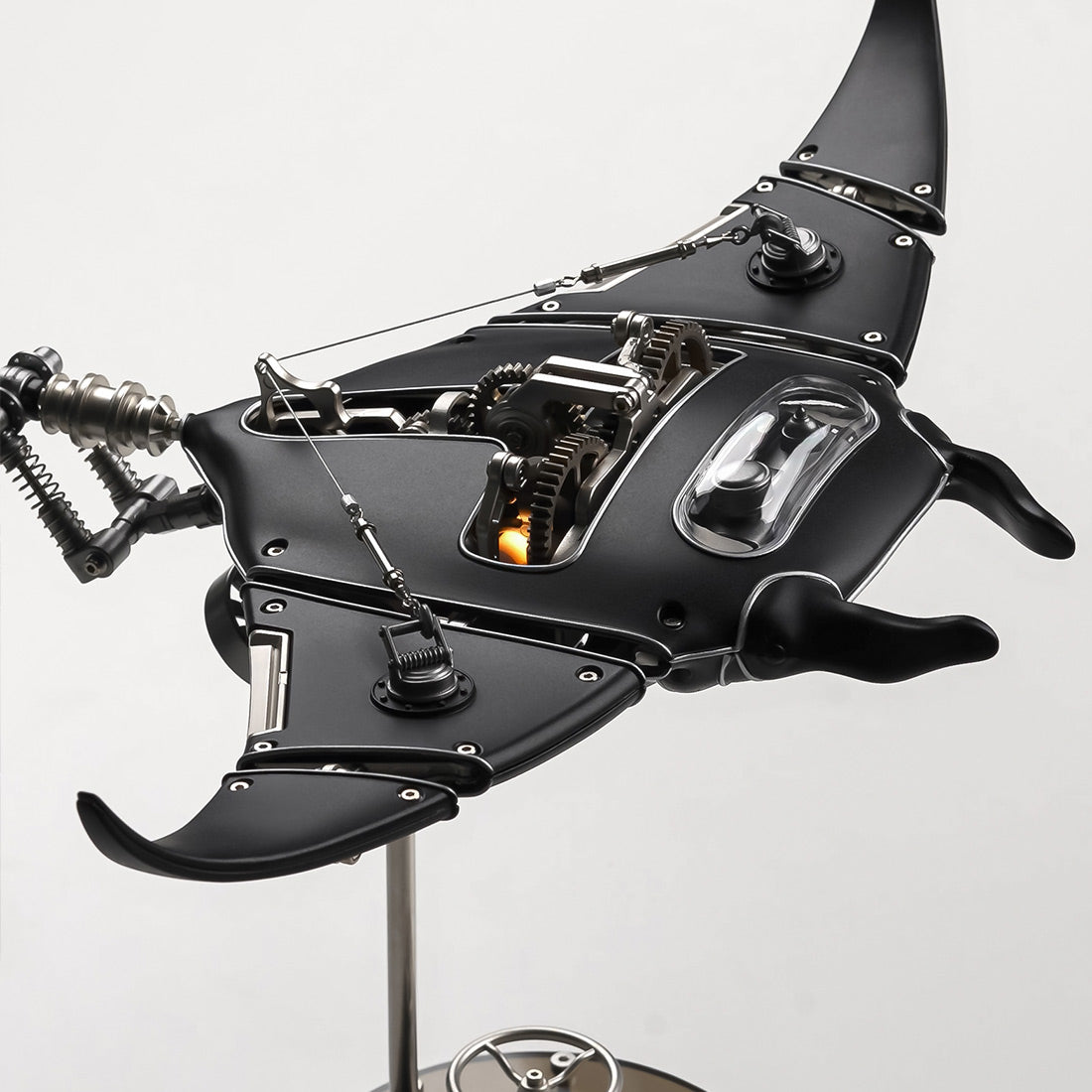 Black Manta Ray Stingray-2