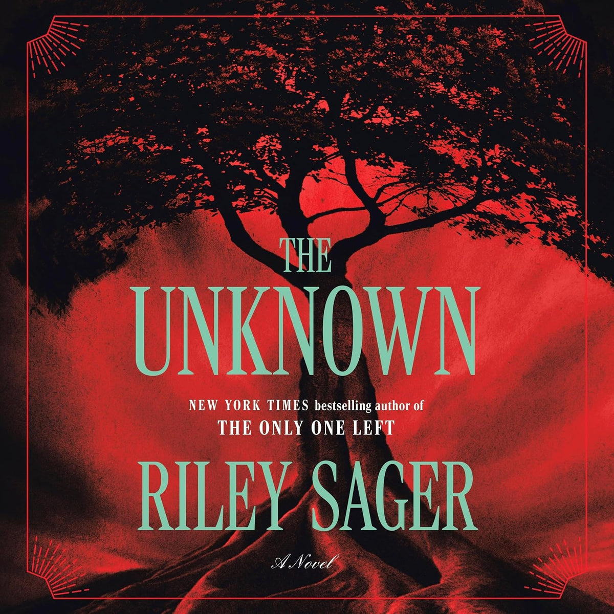 The Unknown: A Novel Jansha Store