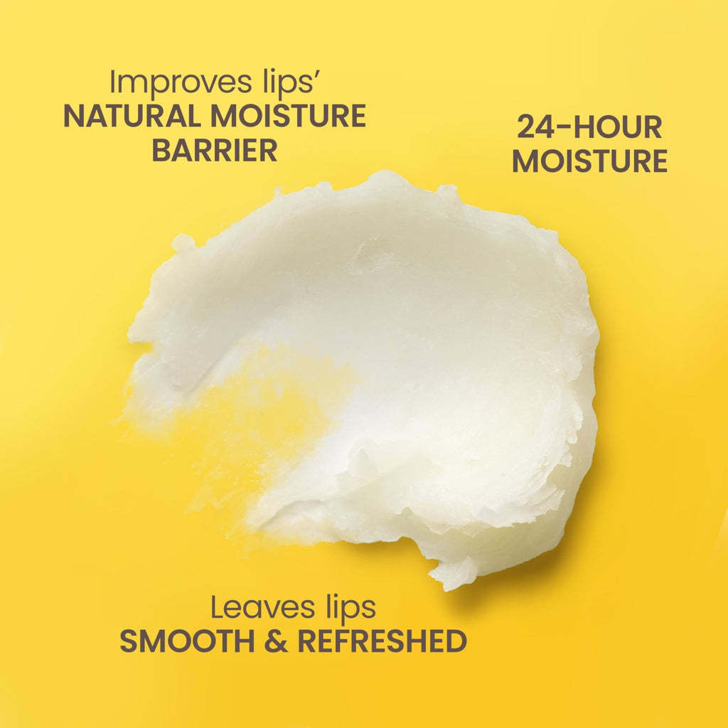 Burt's Bees Lip Balm, Pomegranate, 0.15 oz., 4 Tubes - Jansha Store