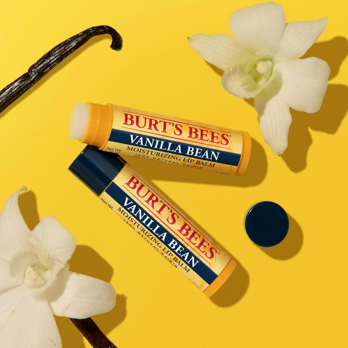 Burt's Bees Lip Balm, Pomegranate, 0.15 oz., 4 Tubes - Jansha Store