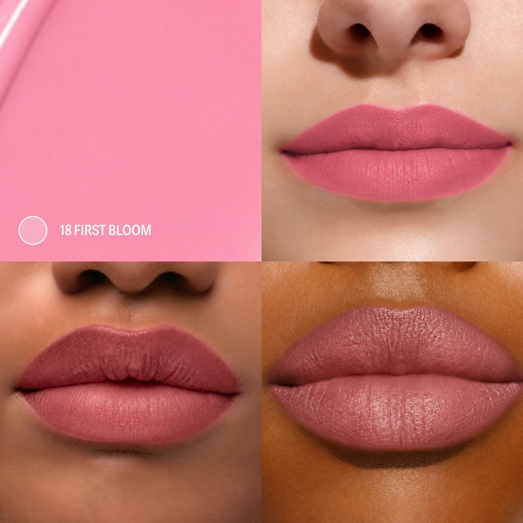 Sacheu Lip Liner STAY-N Peel Off Lip Stain, Longwear, p-INKED - Jansha Store