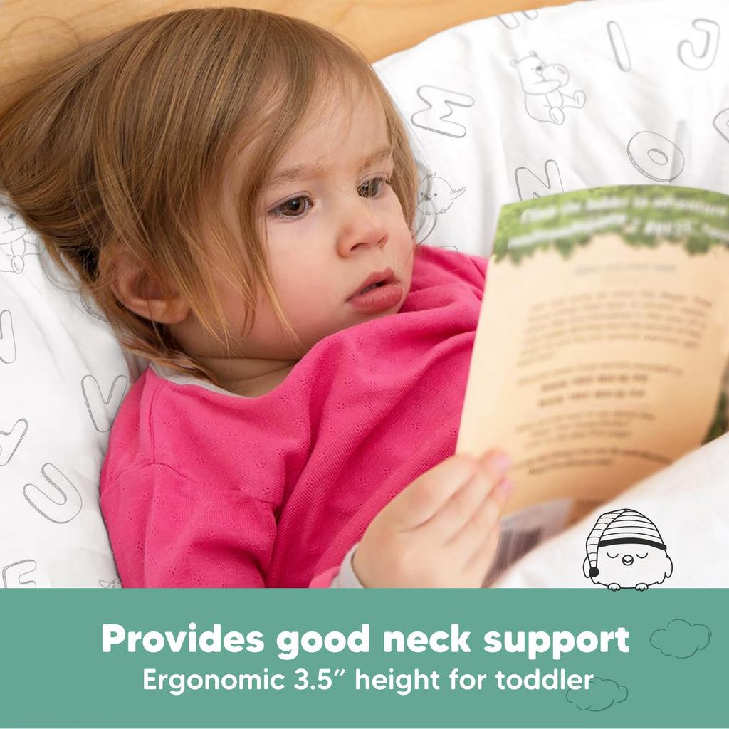 Toddler Pillow with Pillowcase, 13x18 My Little Dreamy Pillow (Flora Vale) - Jansha Store